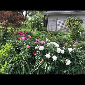 Meet your Posher, Traci